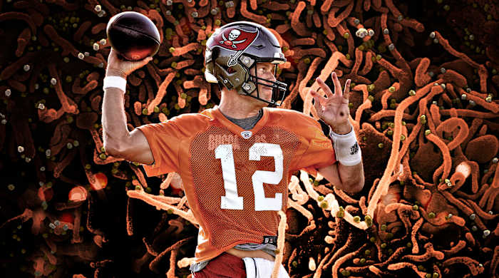 Tom Brady signs with Bucs during start of COVID pandemic